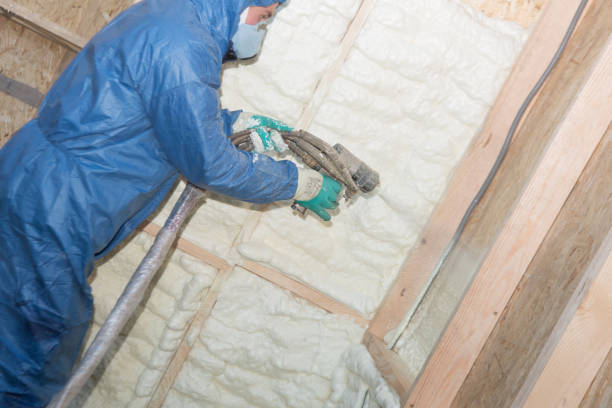 Best Garage Insulation  in Alpine, CA